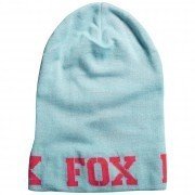 10929-376-ICE