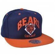 VE76Z-MTC-BEARS