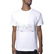 197-HIB-STRP-WHITE