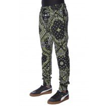 FP501-LIME