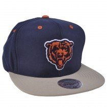VF45Z-MTC-BEARS