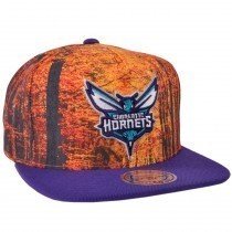 Charlotte Hornets Forest Camo Snapback Hat Mitchell and Ness