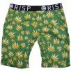 CRSPBXR04-GREEN